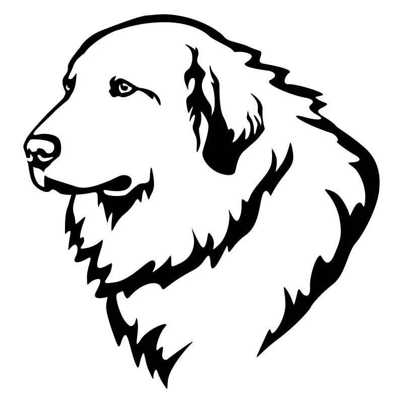 Pyrenean Mountain Dog Head