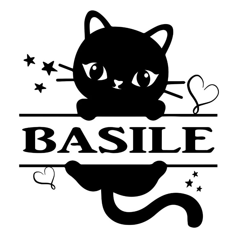 Basile t-shirt chat idée cadeau chat