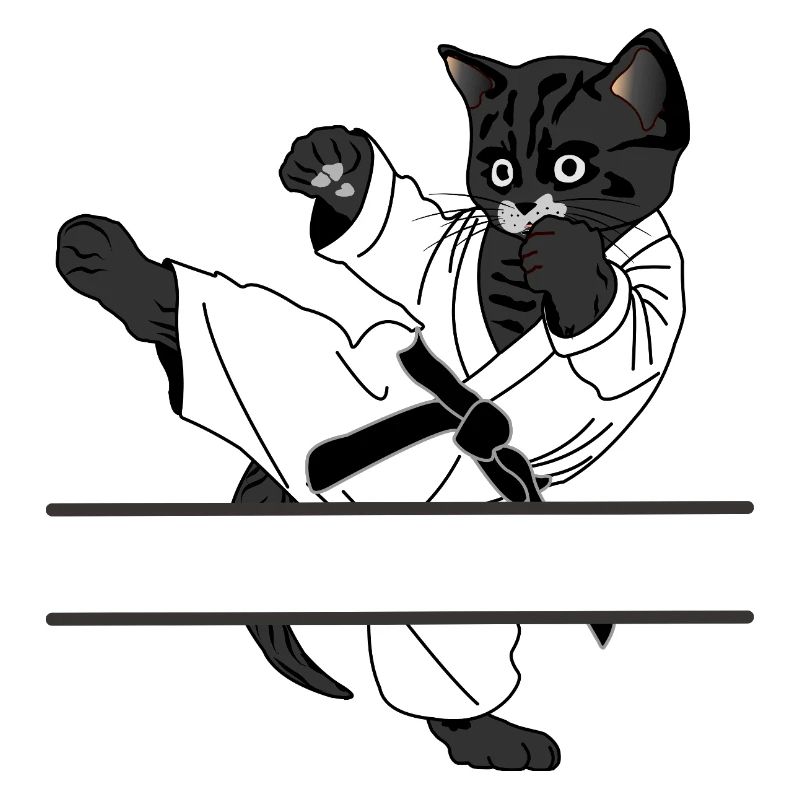 Coup de pied de karaté chat noir