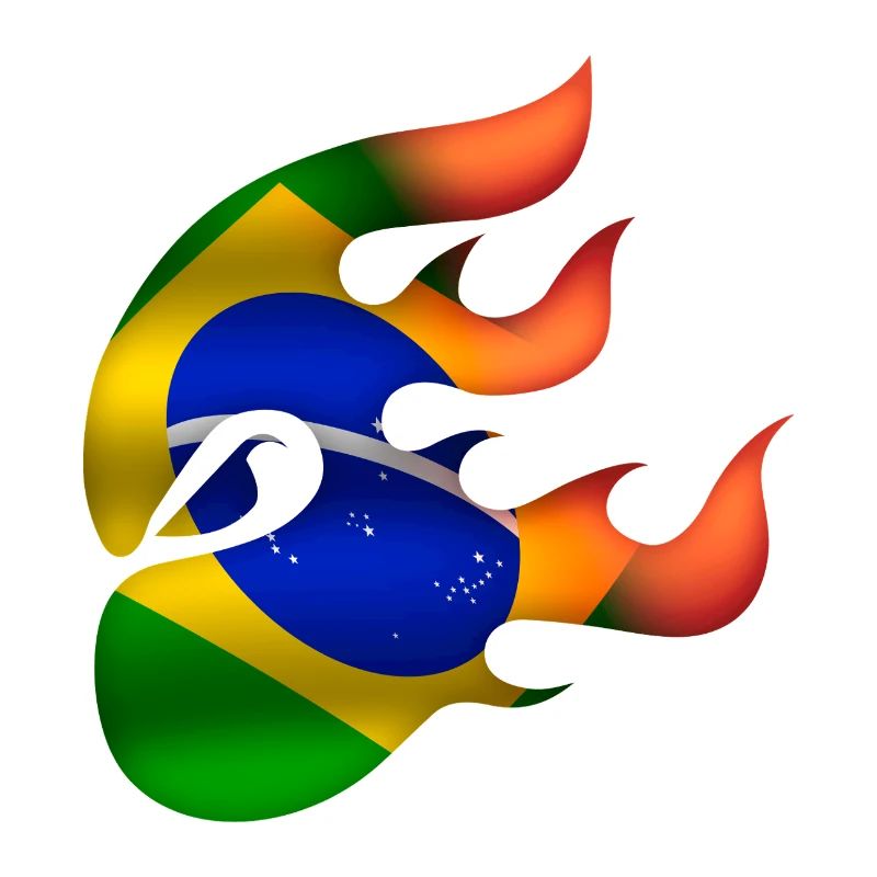 Drapeau du Brésil - Brésil - Ninja