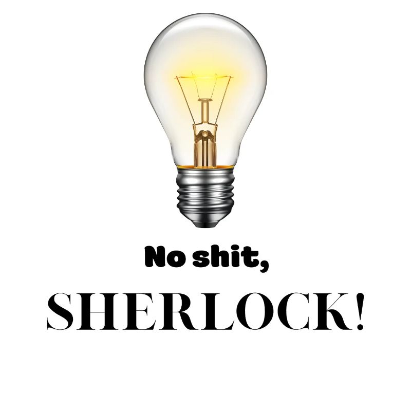 No Shit Sherlock!