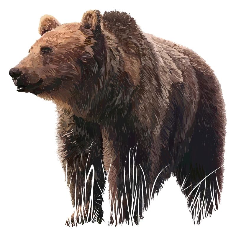 Realistic bear illustration on textile
