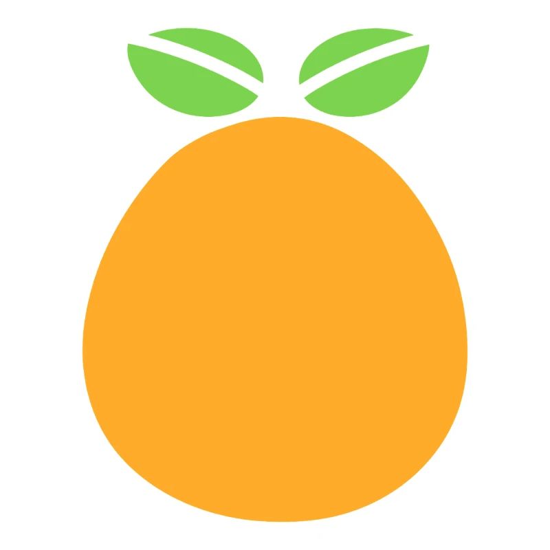 Orange Fruit Graphic Design with Mango