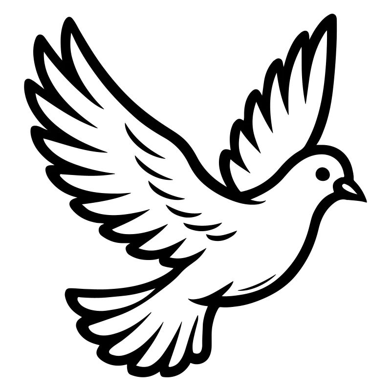 Oiseau Colombe