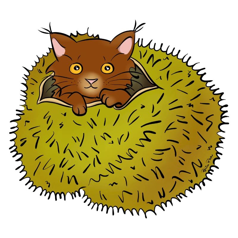 Spider cat
