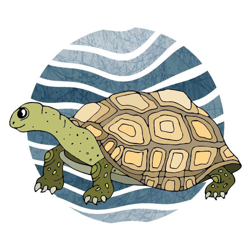 tortoise