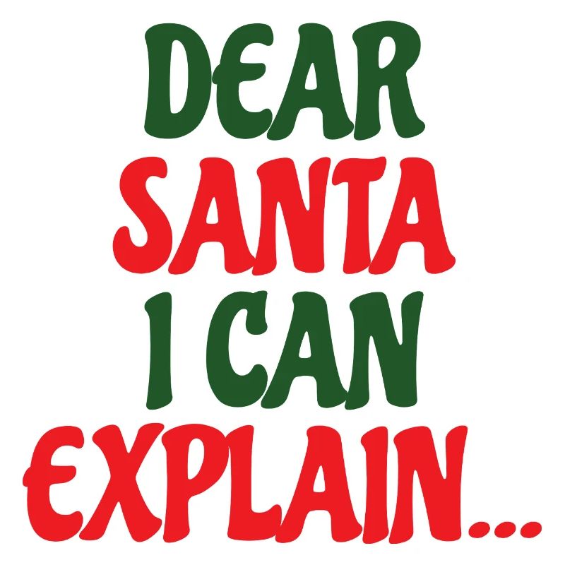 Dear Santa I Can Explain
