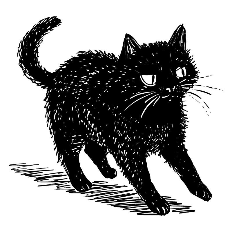 Quirky Black Cat Doodle – Cute & Spooky Vibes