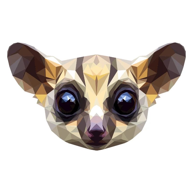 Galago Buisson Bébé Singe Galagos Singe Mignon Galago