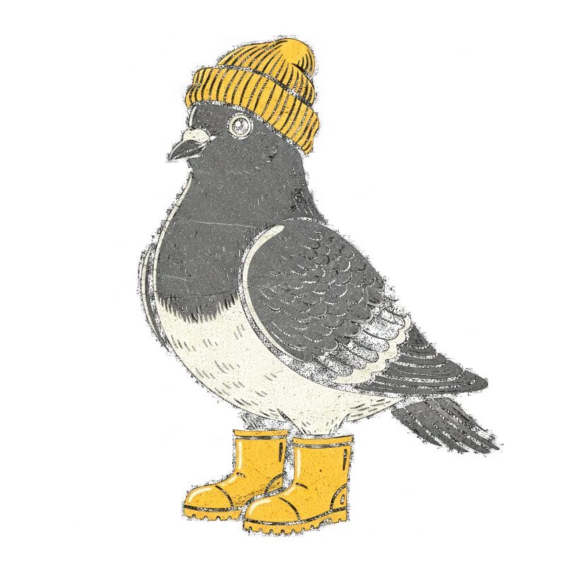 Penguin with hat and boots