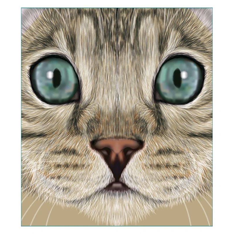 Chat léopard