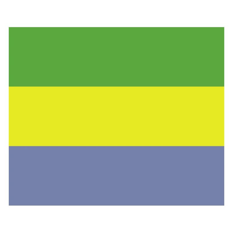 Drapeau gabonais