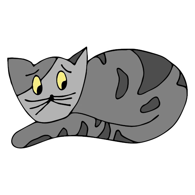 chat