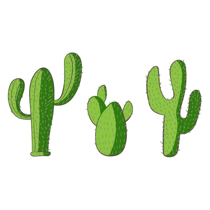 Cactus