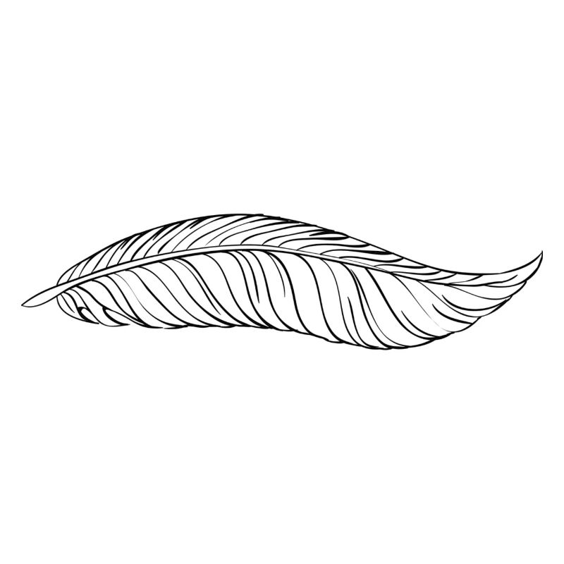 stylo