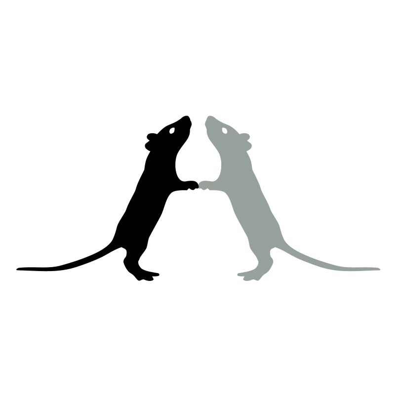 Rats