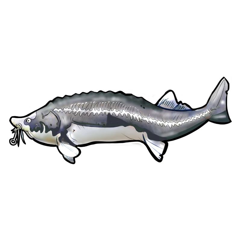 Grubbed Kelfish Tail Pattern