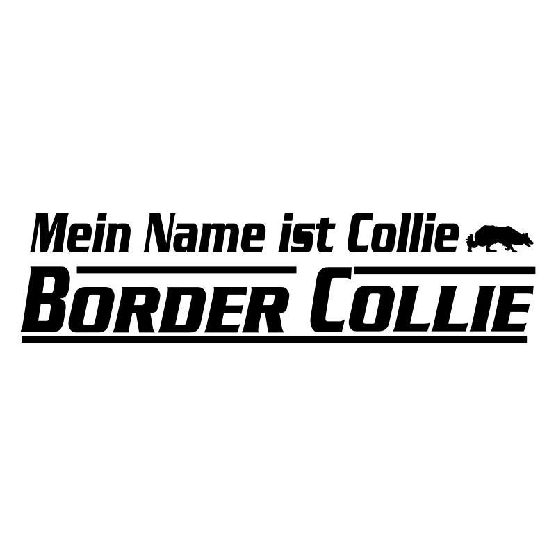 My name is Border Collie