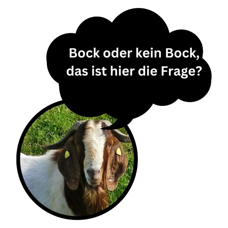 Fun Shirt "Bock oder kein Bock..."