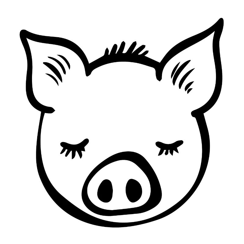 Cochon Cochon