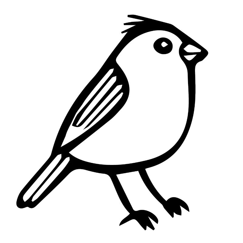 Oiseau