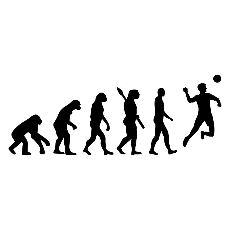 Evolution Fistball
