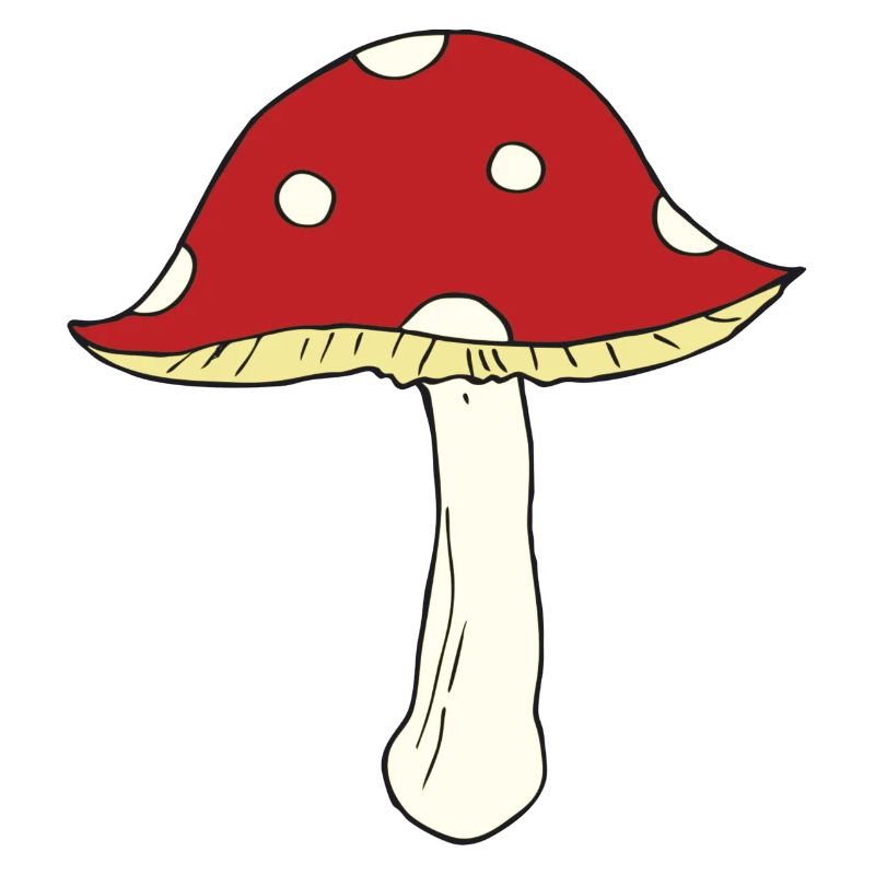 fly agaric