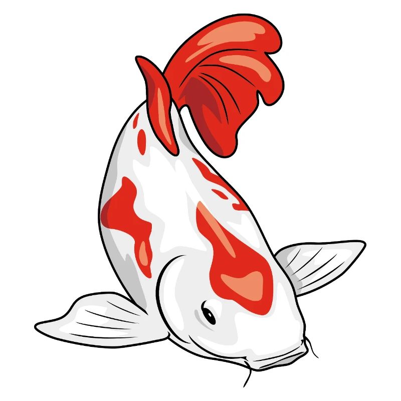 Koi fish