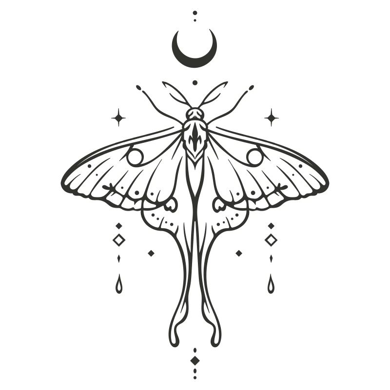 Luna Moth with Moon – Mystical Night Moth