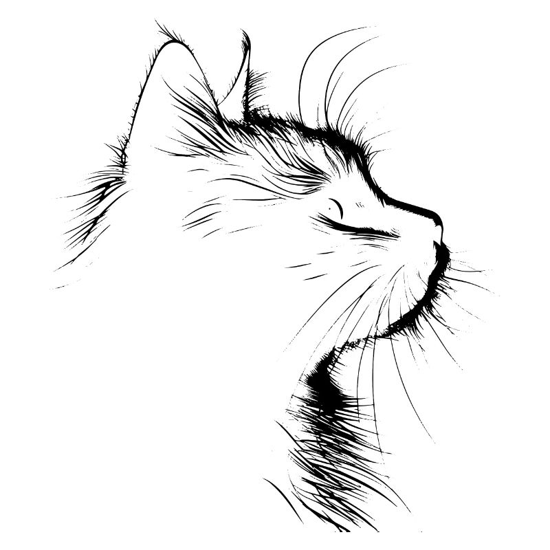 Chat, Motif De Chat, Visage De Chat