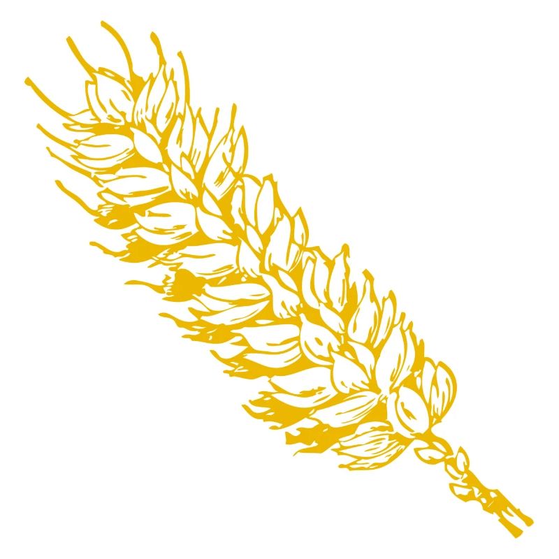 cereals corn cereal wheat wheat veggie gemuese v
