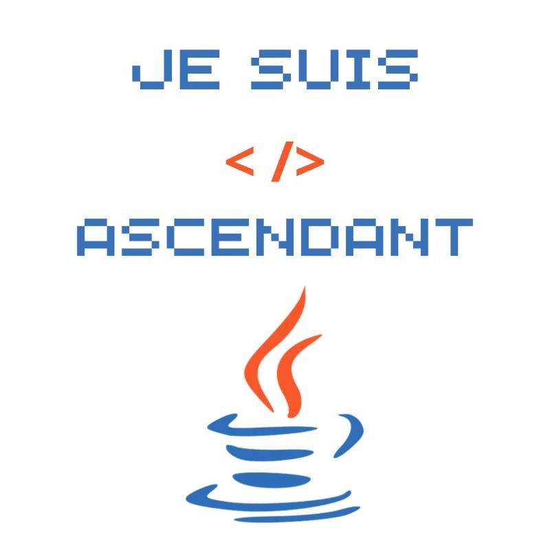 cadeau pour développeur java