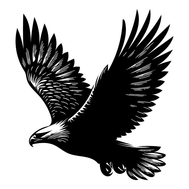 Elegant eagle on huge wings
