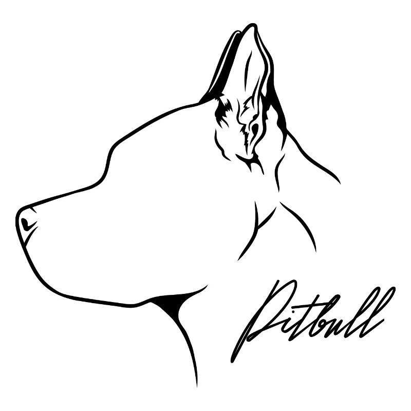 American Pitbull Profile Chiens Chien Wilsigns