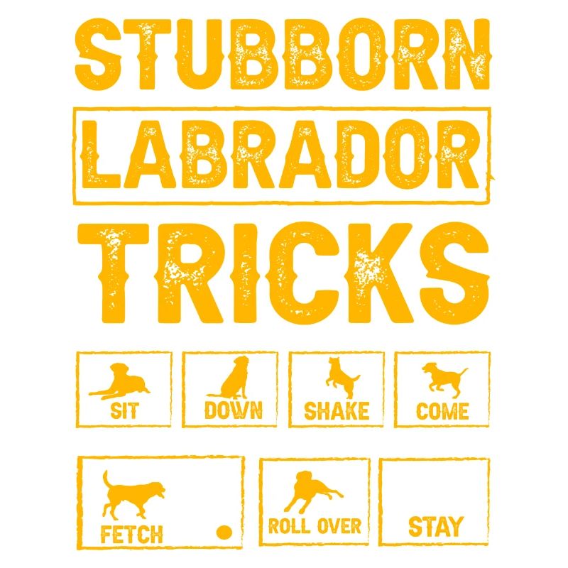 Stubborn labrador tricks