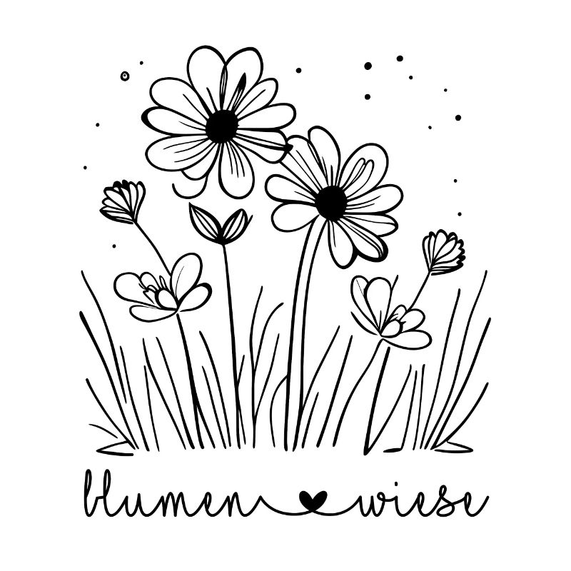 🤍Prairie de fleurs