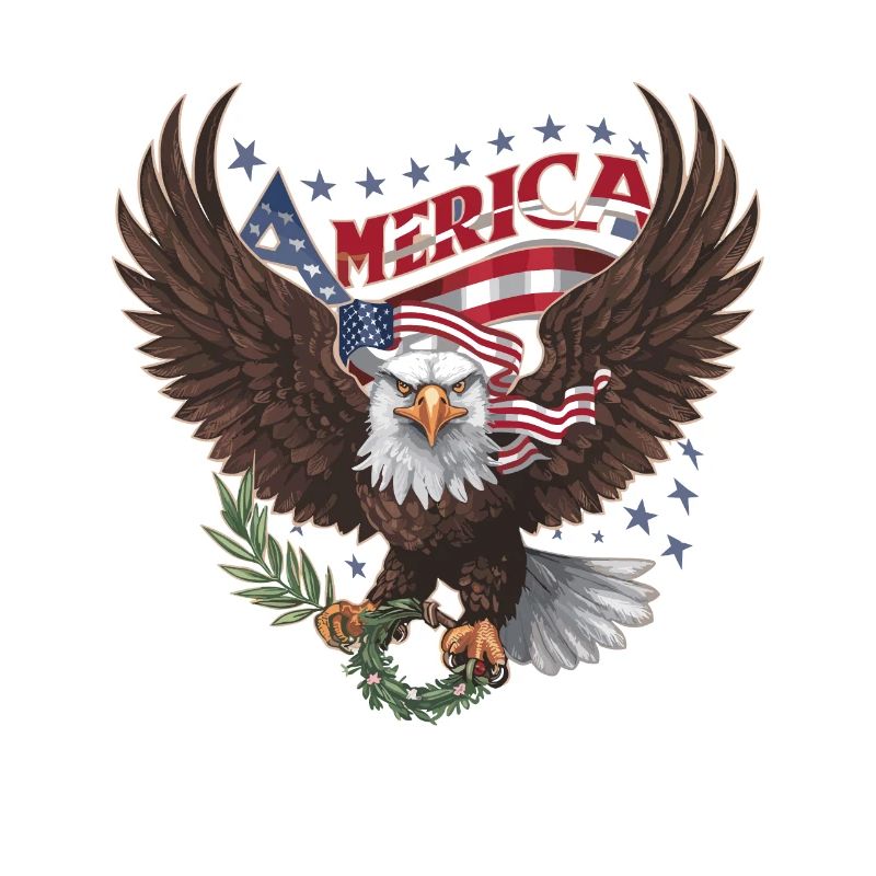 Drapeau américain des États-Unis Eagle Pride