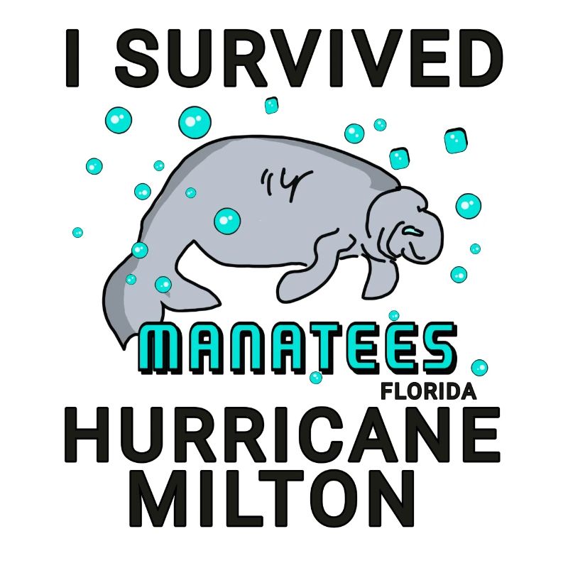 I survived Hurricane Milton Manatee