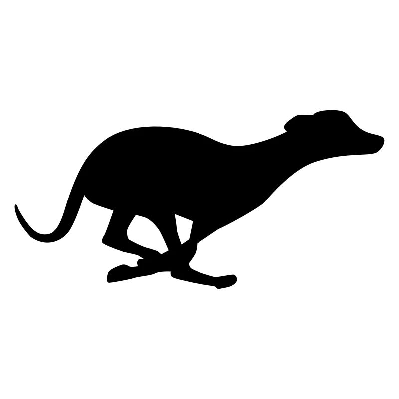 Greyhound