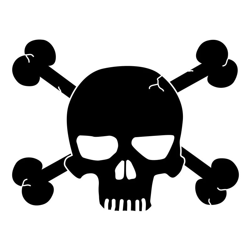 skull with bones / pirate