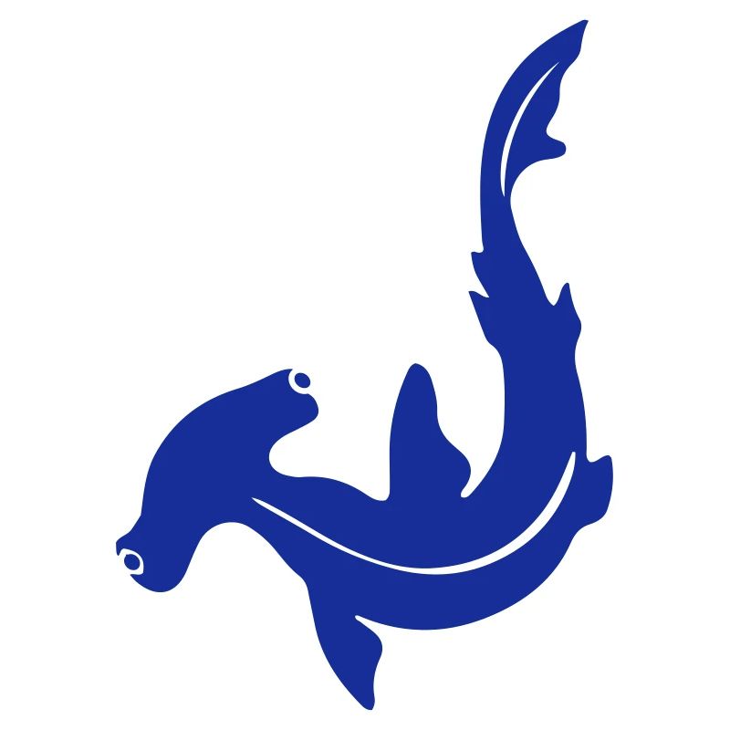 Requin-marteau