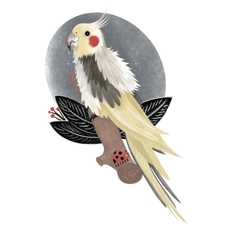 illustration de cacatoès calopsitte