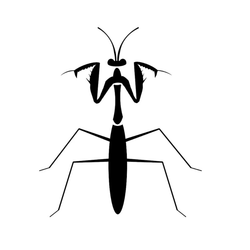 praying mantis