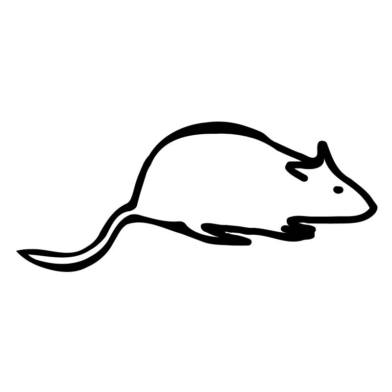 rat