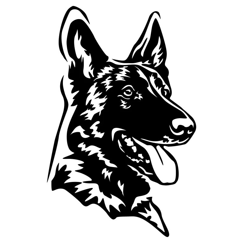 Malinois head