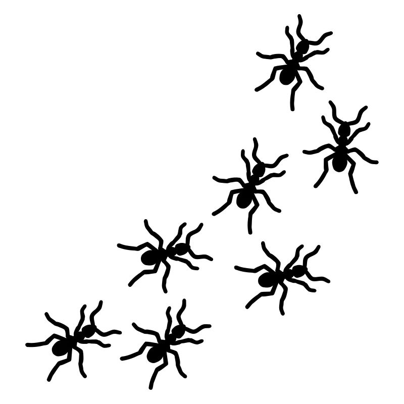Ants