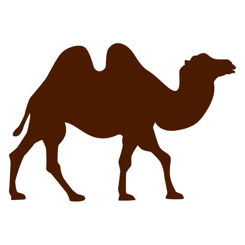 Camel