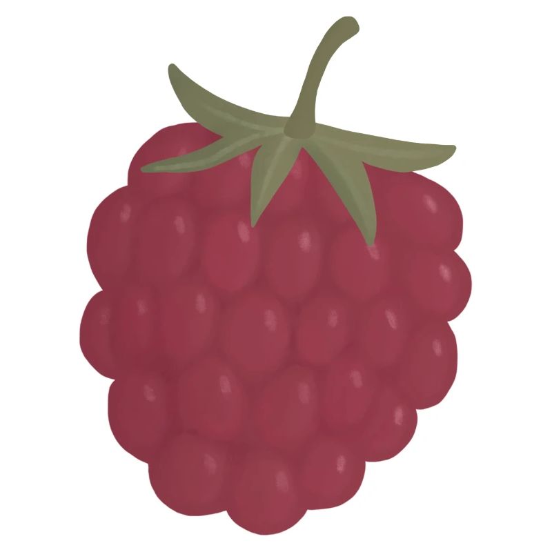 red pink raspberry