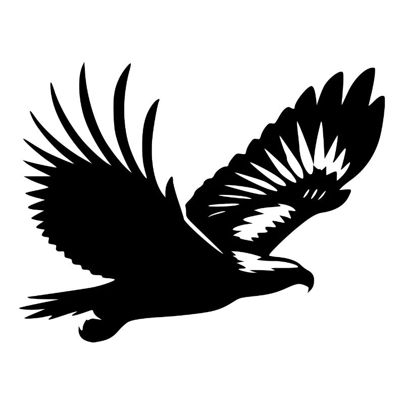Aigle élégant sur de larges ailes dans le vent