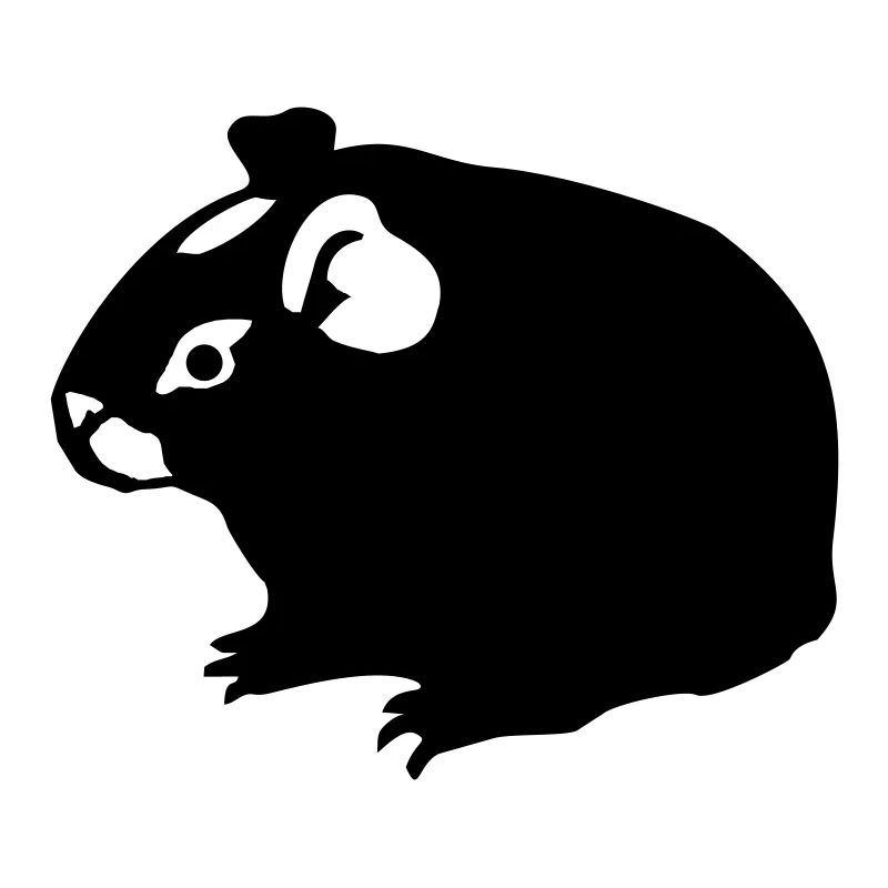 Les cochons d'Inde (2) monochrome